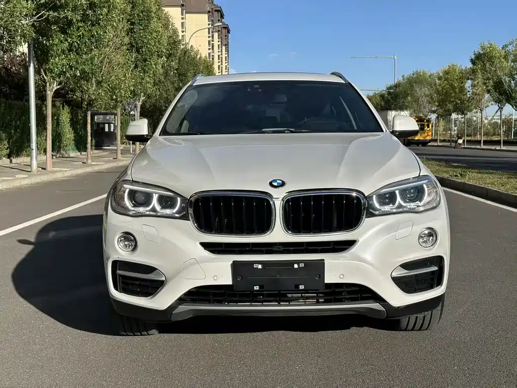 BMW X6 — миниатюра 8