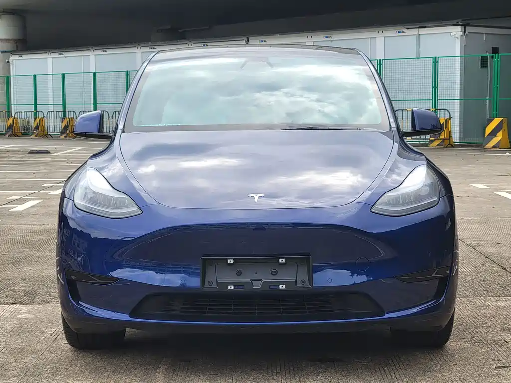 Tesla Model Y — миниатюра 2