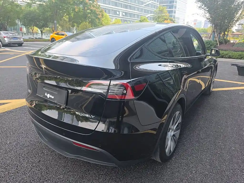 Tesla Model Y — миниатюра 7