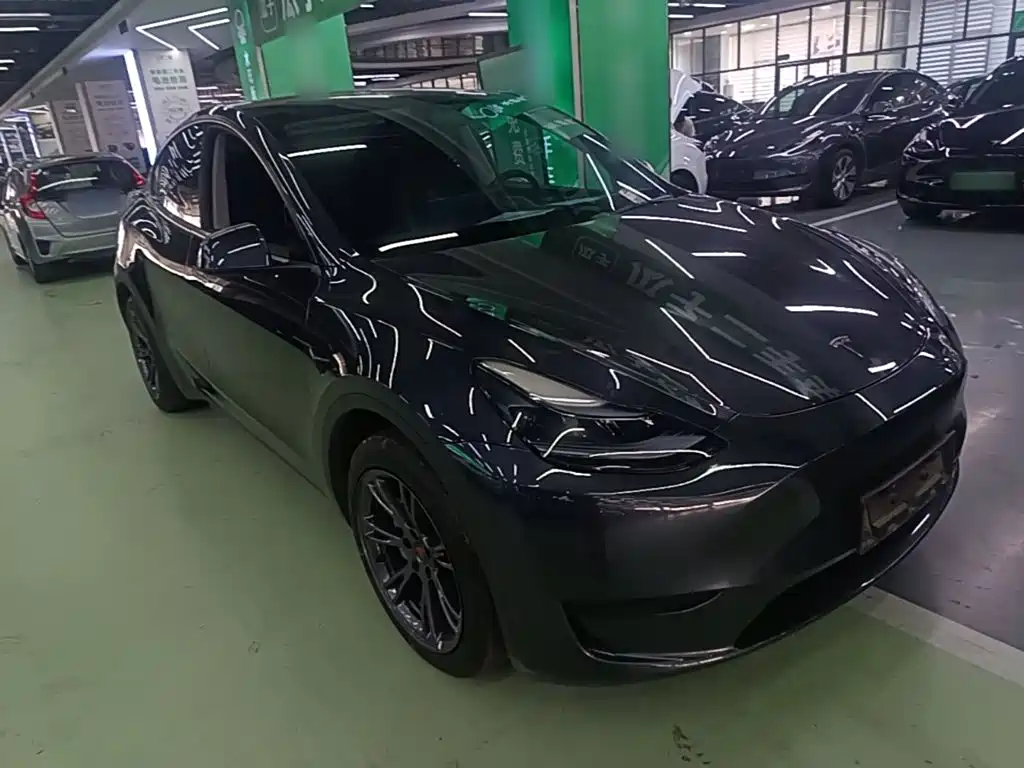 Tesla Model Y — миниатюра 4