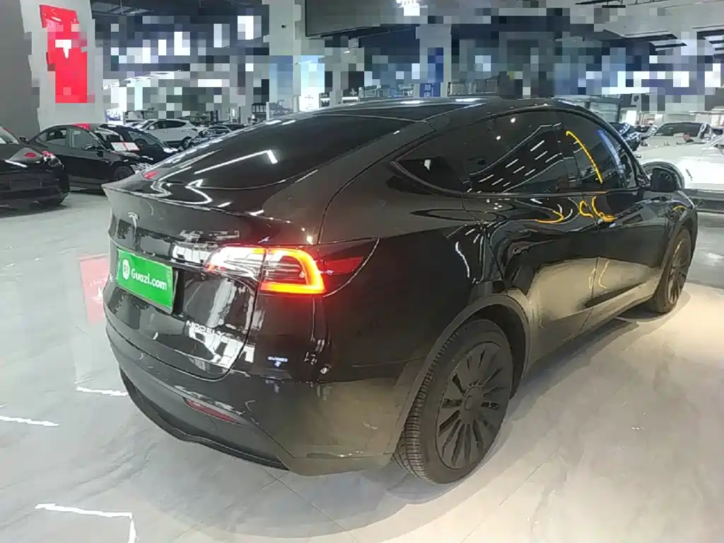 Tesla Model Y — миниатюра 7