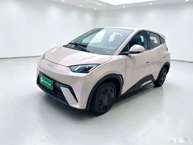 2024 BYD Seagull