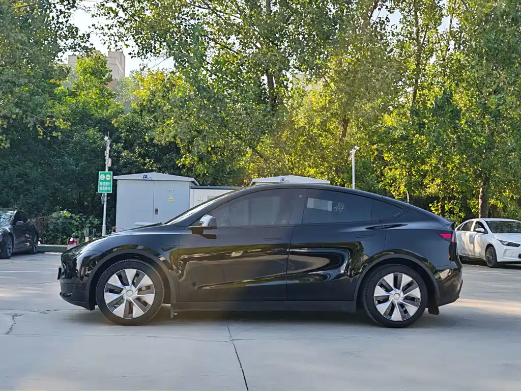 Tesla Model Y — миниатюра 7
