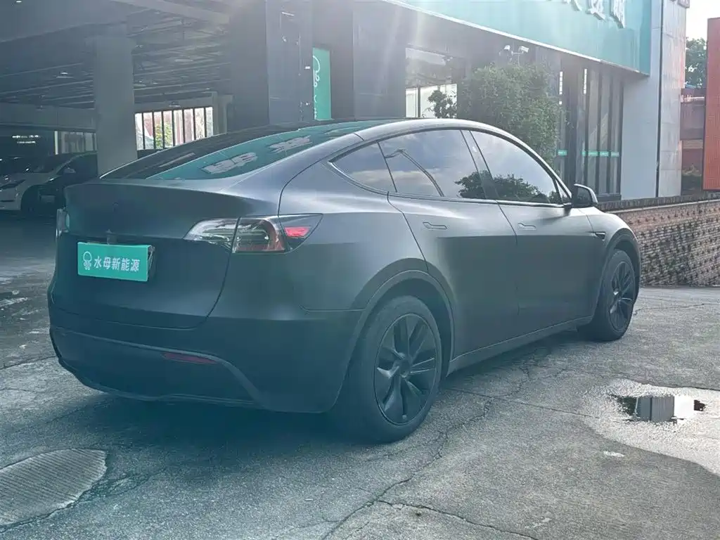 Tesla Model Y — миниатюра 13
