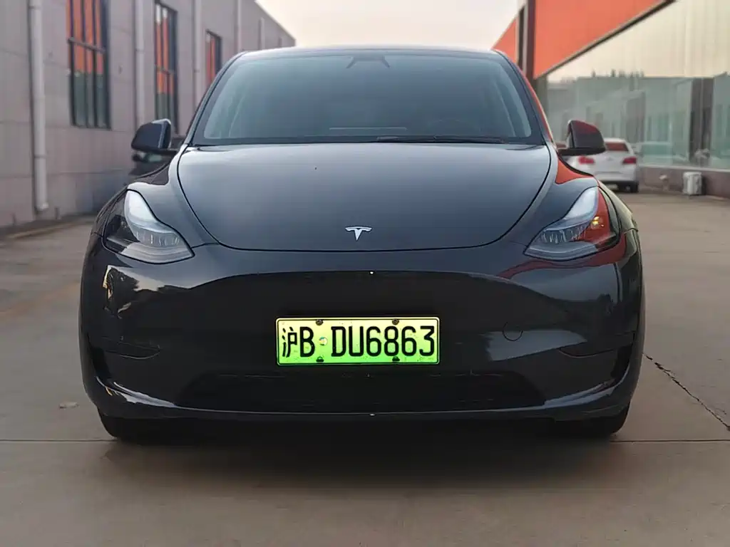 Tesla Model Y — миниатюра 2