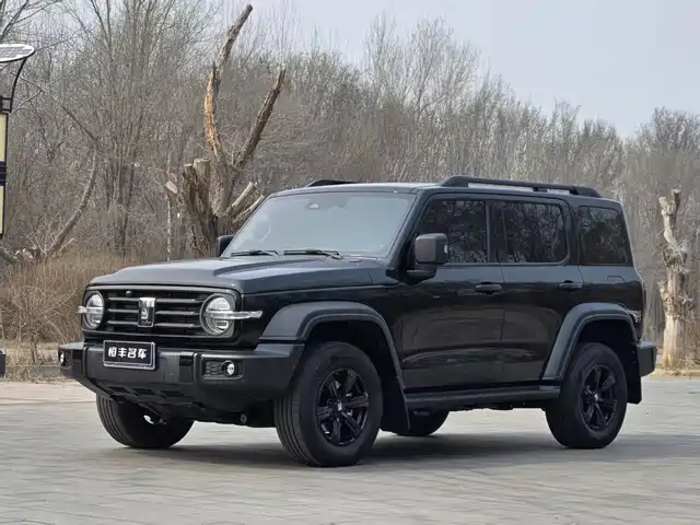 2024 TANK 300