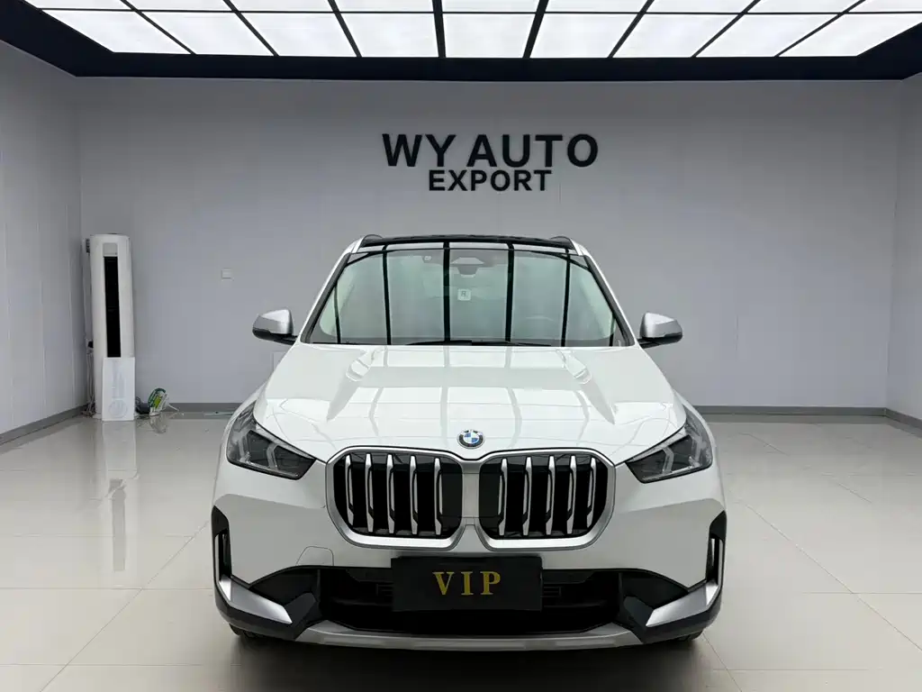 BMW X1 — миниатюра 2
