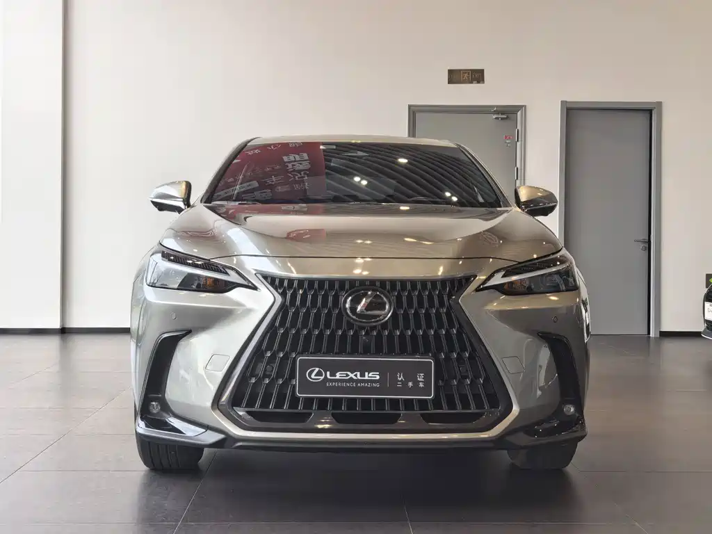 Lexus NX — миниатюра 2
