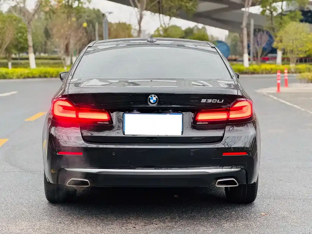 BMW 5 SERIES