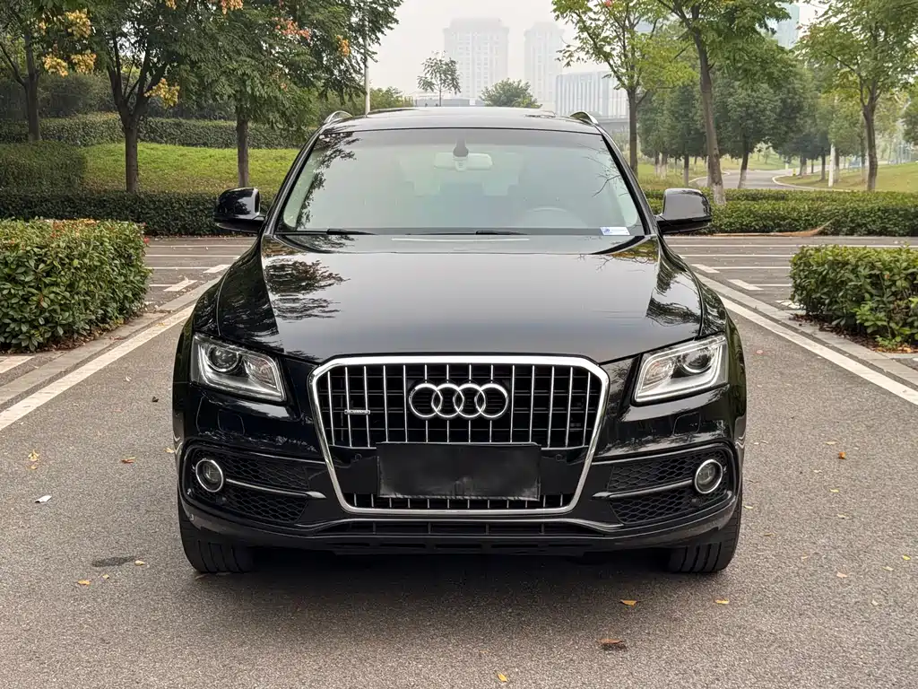 Audi Q5 — миниатюра 2
