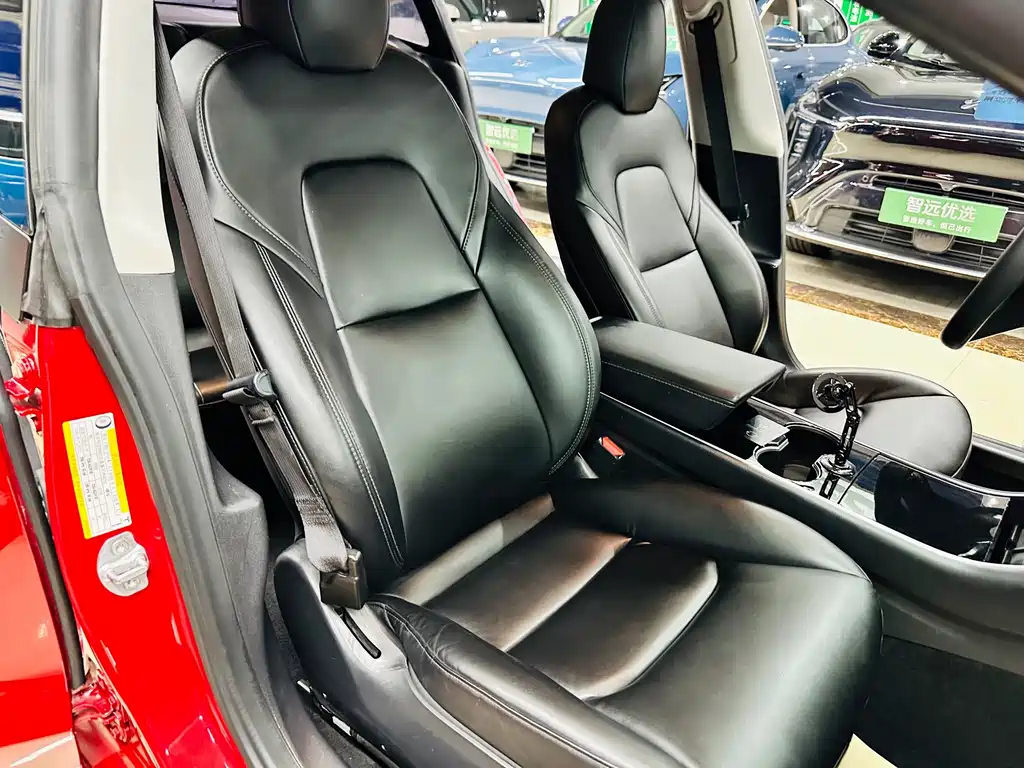 Tesla Model 3 — миниатюра 24