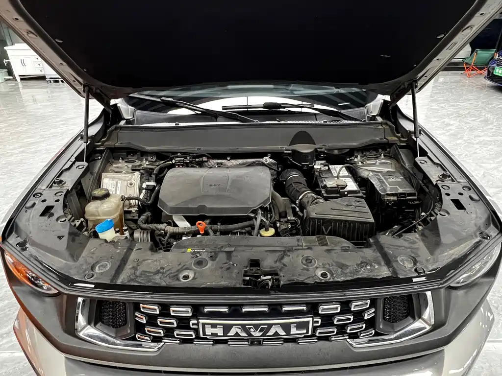 Haval Big Dog PLUS — миниатюра 29
