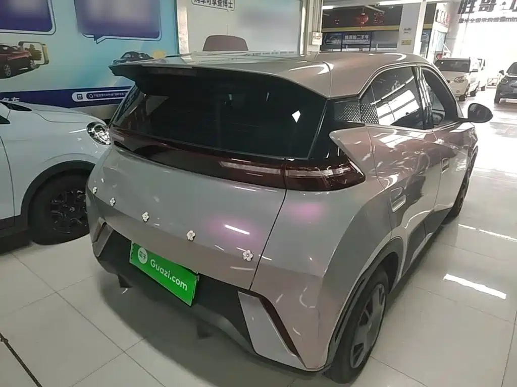 BYD Seagull 2024 305km
