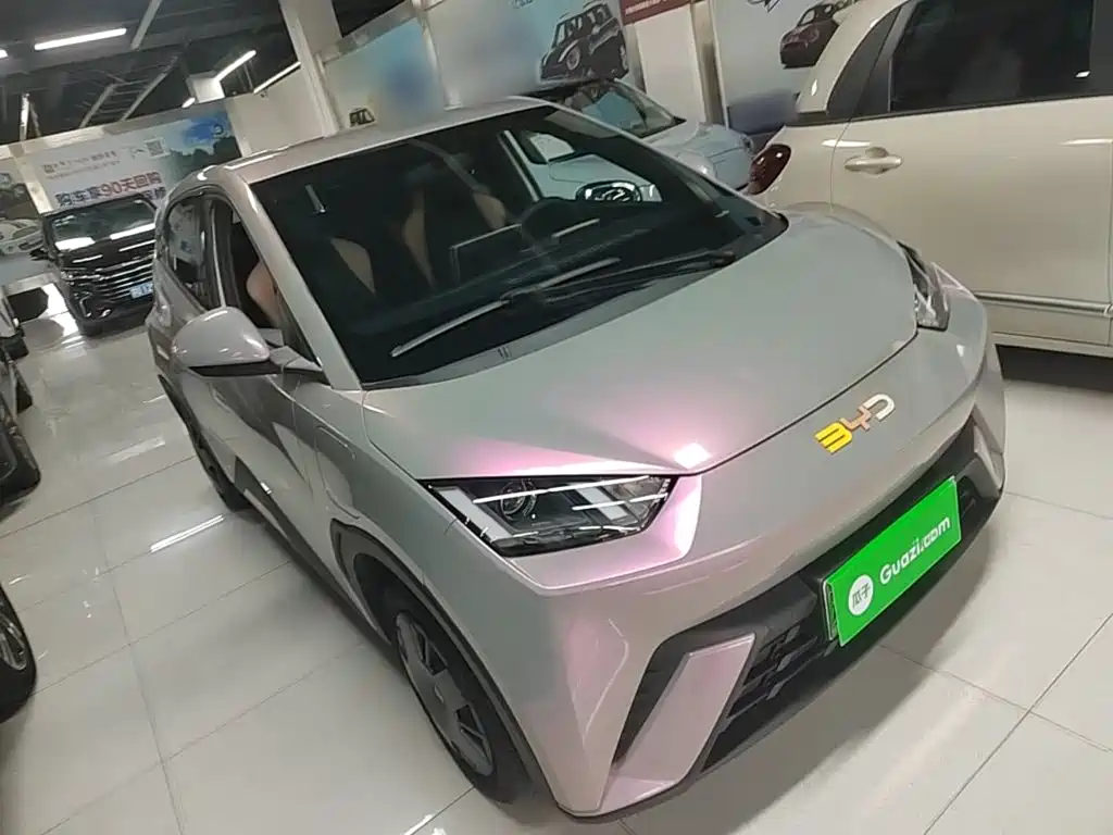 BYD Seagull 2024 305km