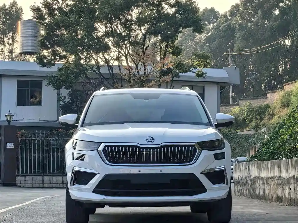 Skoda Kodiaq — миниатюра 2