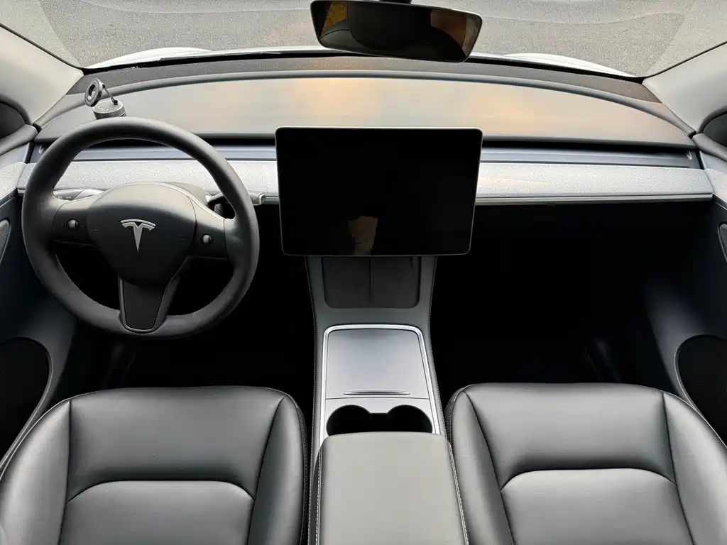 Tesla Model Y — миниатюра 8