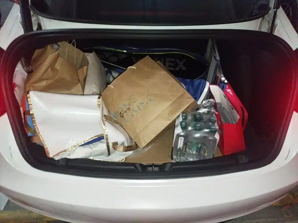 Tesla Model 3 — миниатюра 20