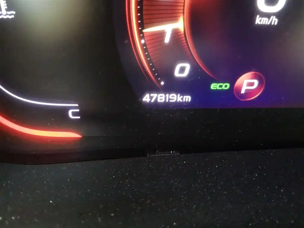 GEELY AUTOMOBILE BINRUI