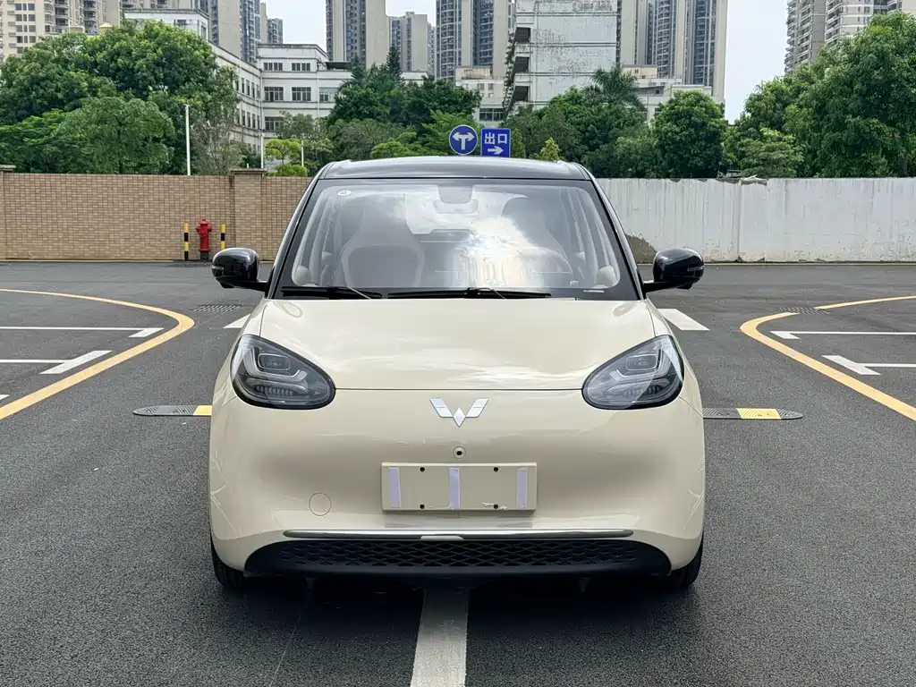 Wuling Binguo 2025 410km Premium