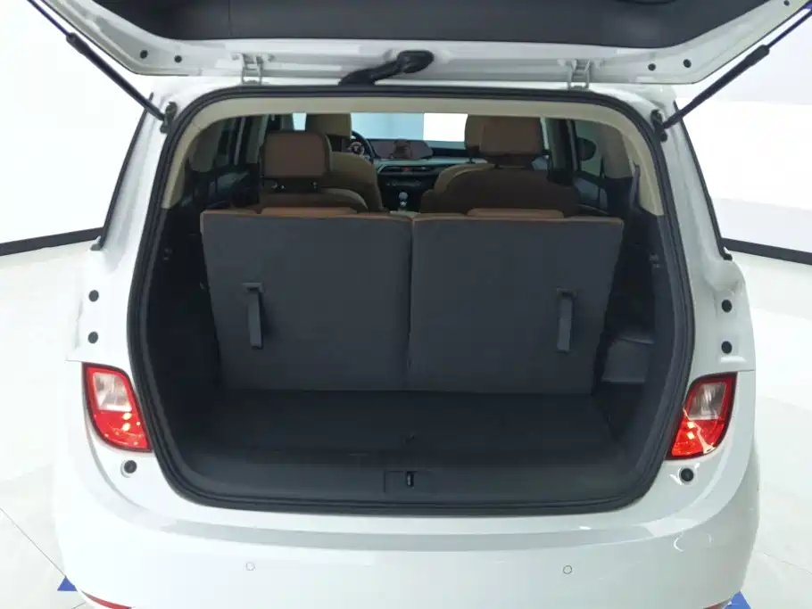 Buick GL6 — миниатюра 4
