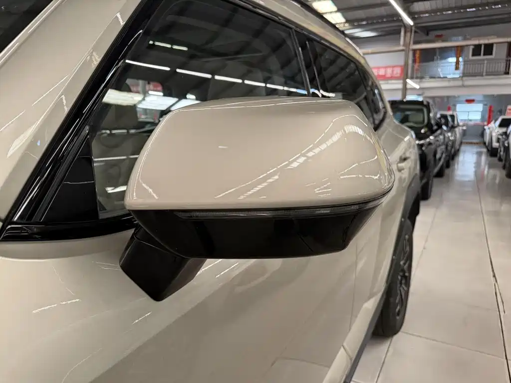Haval Big Dog PLUS New Energy — миниатюра 6