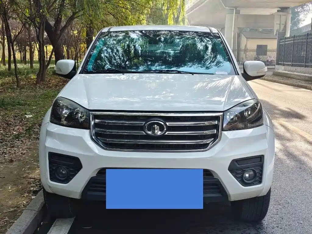 GREAT WALL FENGJUN 5