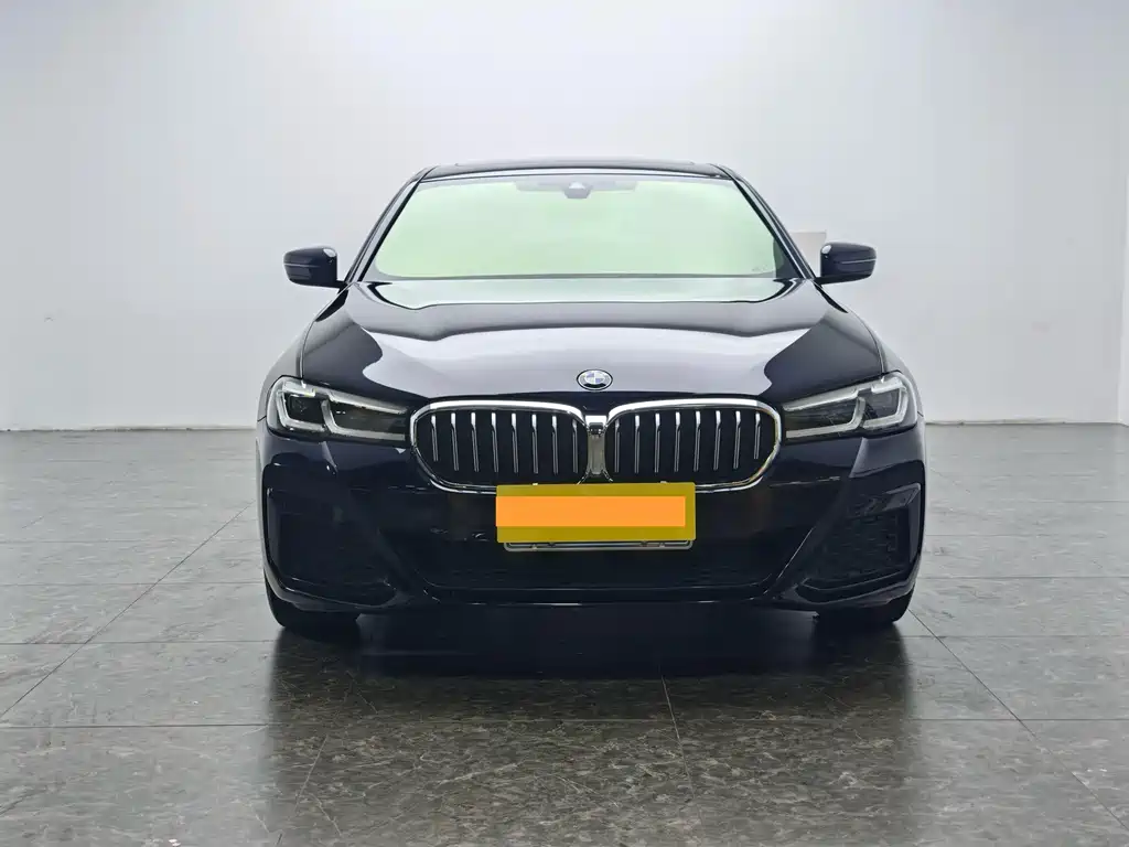 BMW 5 Series — миниатюра 5