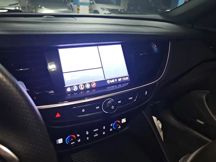 Buick Regal — миниатюра 13