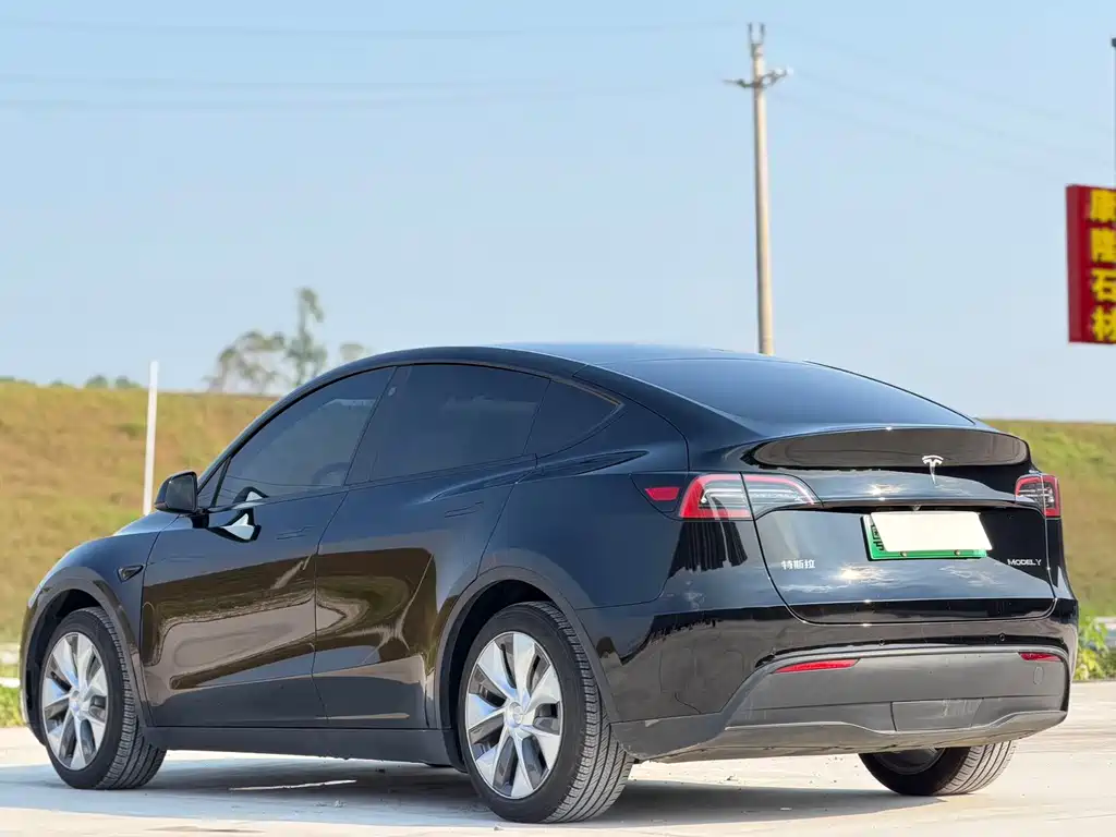 Tesla Model Y — миниатюра 6