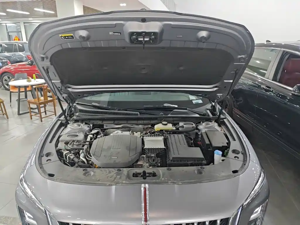 Hongqi Hongqi H5 PHEV — миниатюра 20