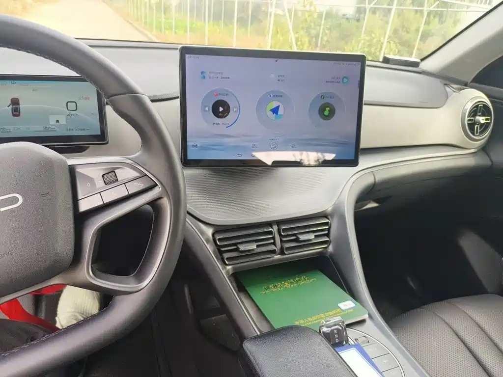 BYD Sealion 05 DM-i — миниатюра 15