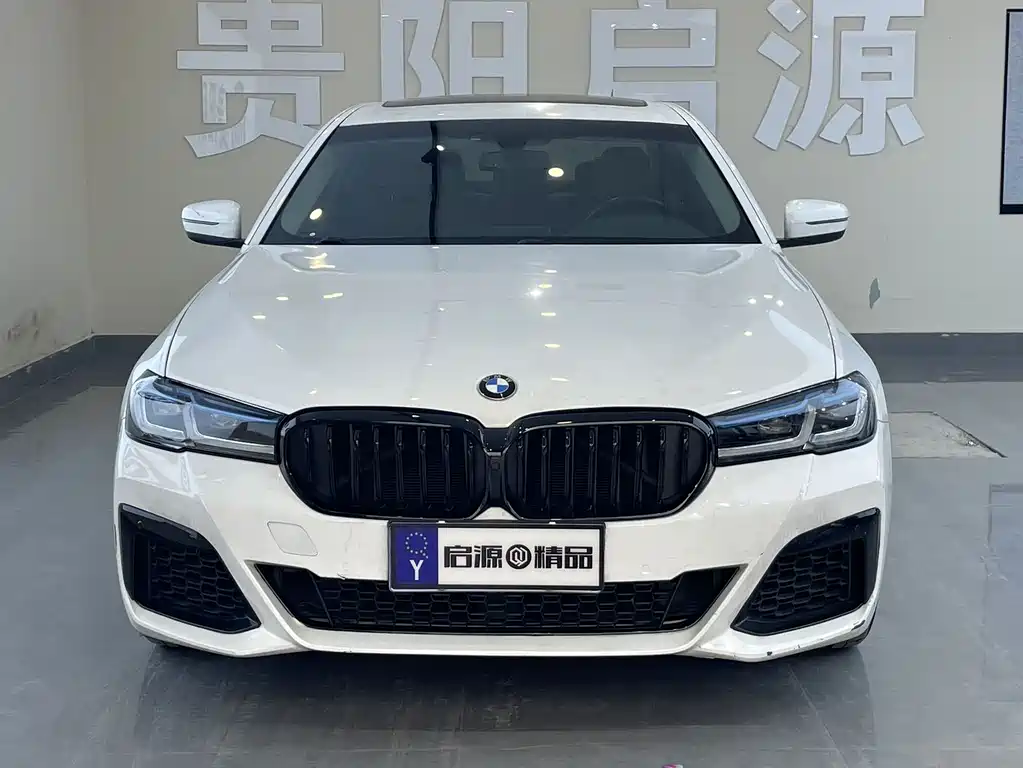 BMW 5 Series 5 2018 528Li