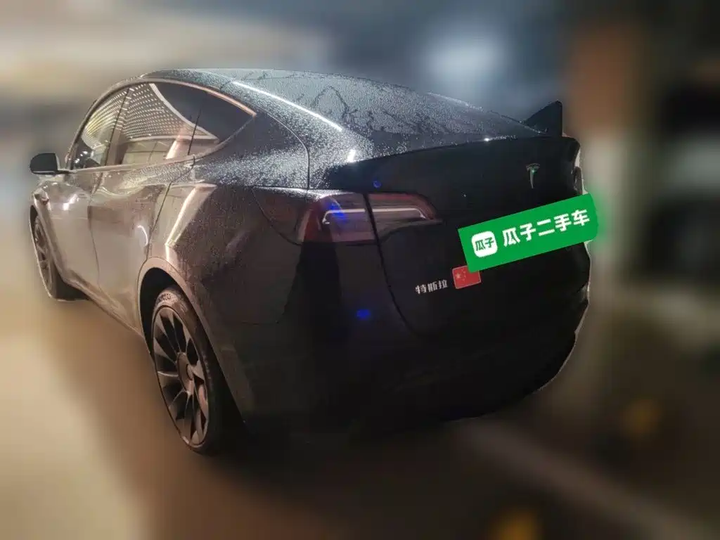 Tesla Model Y — миниатюра 5