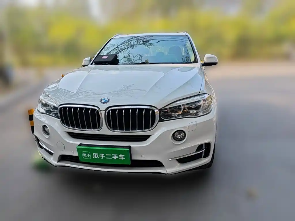 BMW X5 (Import) — миниатюра 2