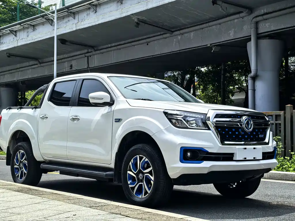 Dongfeng Rich 6 New Energy — миниатюра 4