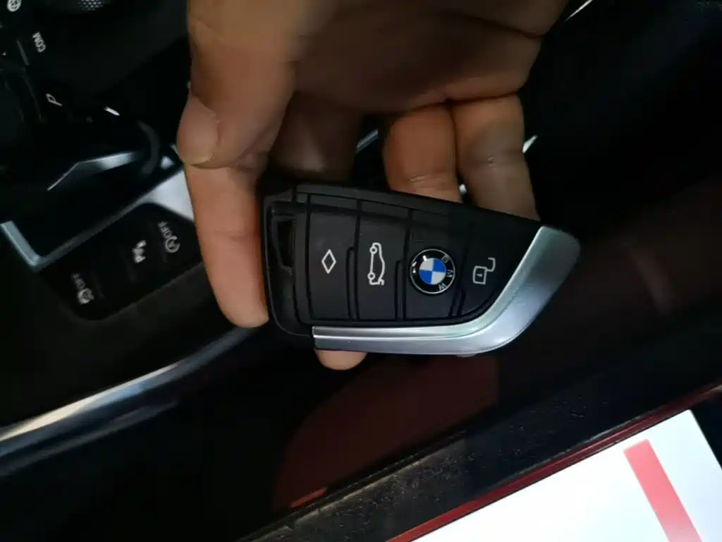 BMW 3 Series 3 2022 325Li M Sport