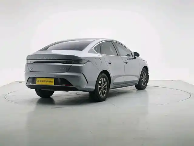 BYD Destroyer 05 2024 DM-i 55KM Luxury