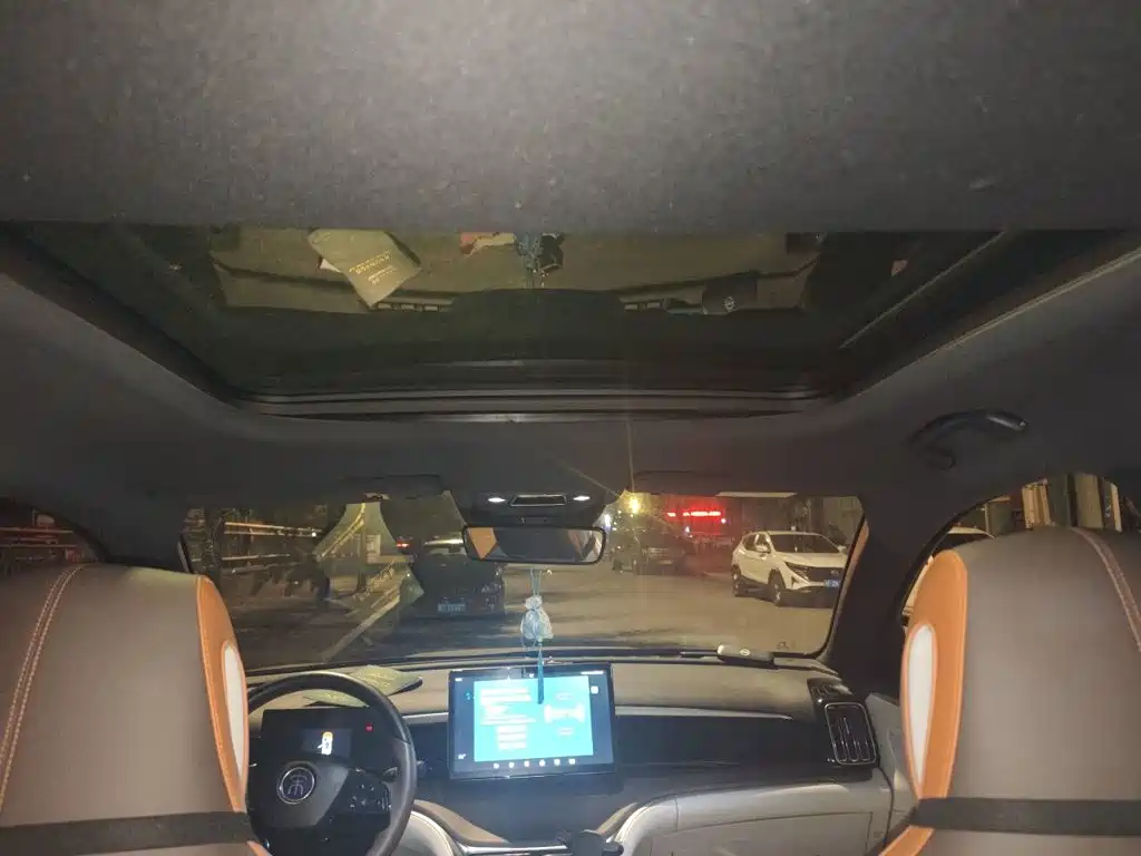 BYD Pro New Energy — миниатюра 14