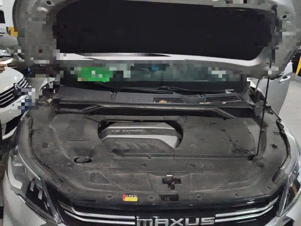 MAXUS G50 — миниатюра 11