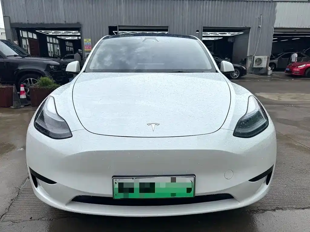Tesla Model Y — миниатюра 4