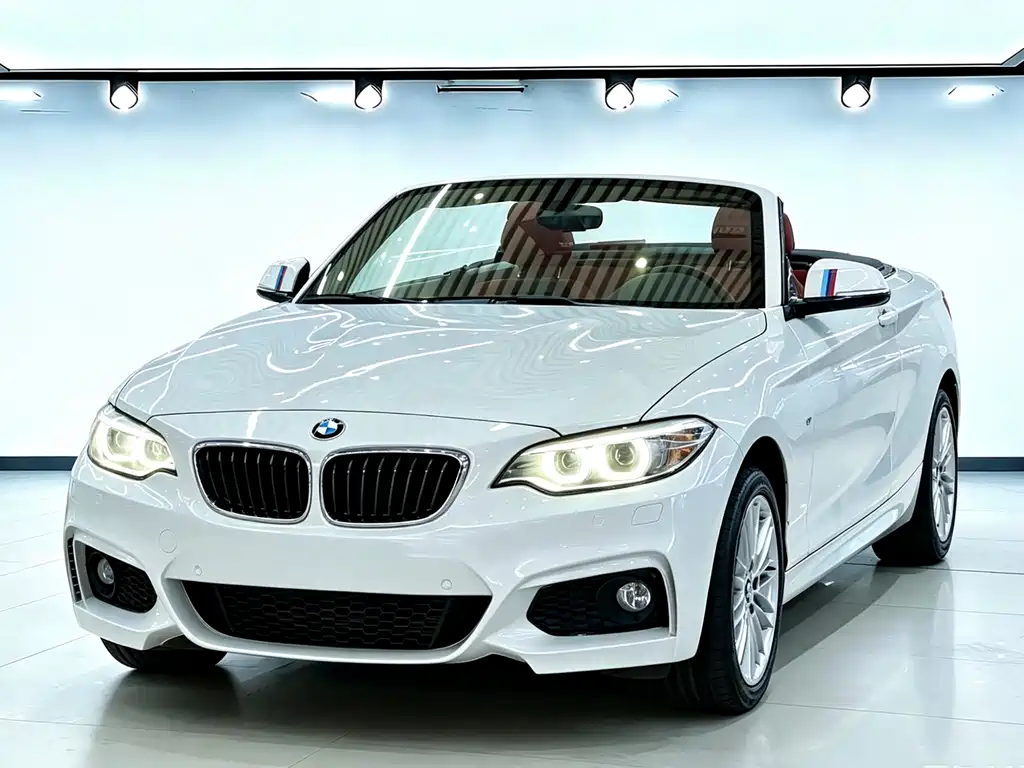 BMW 2 Series (Import) 2016