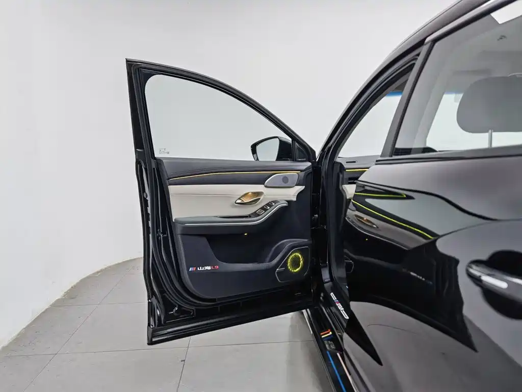 Shanhai Shanhai L9 — миниатюра 8
