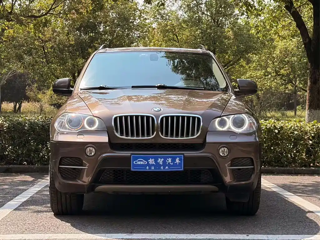 BMW X5 (Import) — миниатюра 2