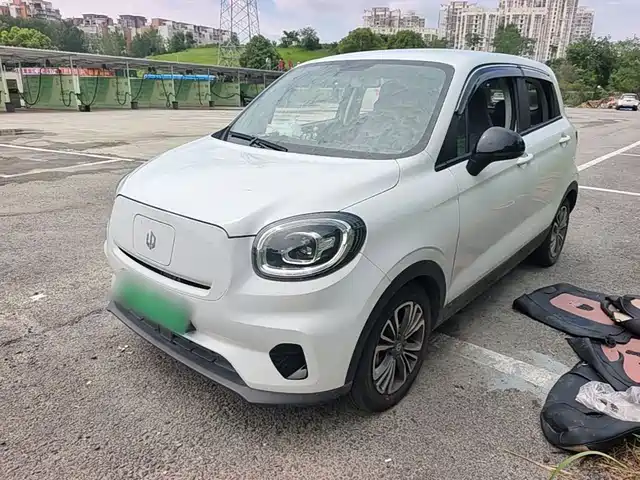 2024 Leapmotor T03