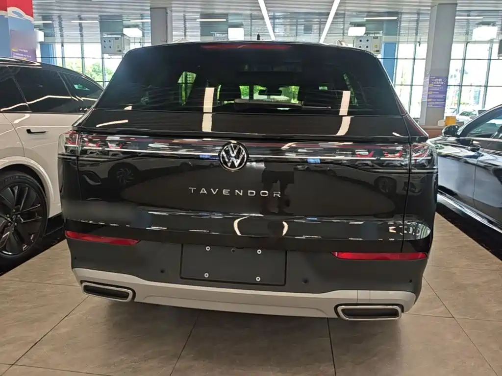 Volkswagen Tavendor — миниатюра 6