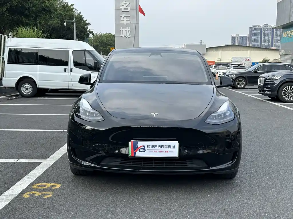 Tesla Model Y — миниатюра 2