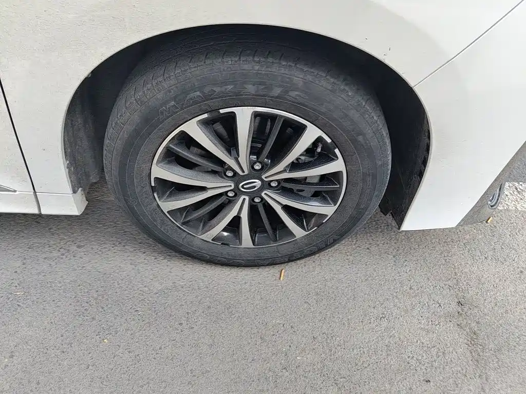 GAC Motor Trumpchi M8 — миниатюра 24