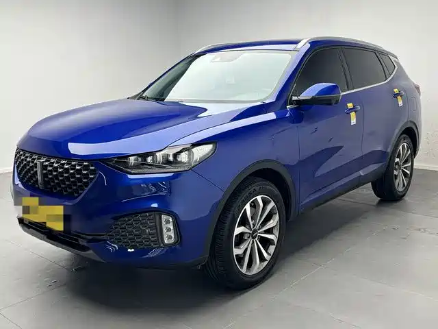 Wey Wey VV6