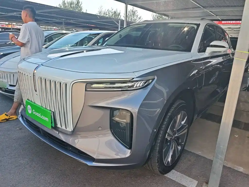 Hongqi Hongqi E-HS9 — миниатюра 2