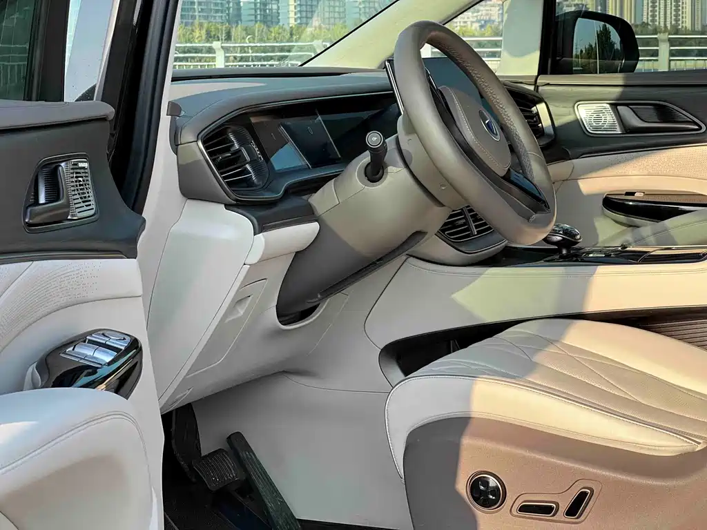 Denza Denza D9 — миниатюра 10